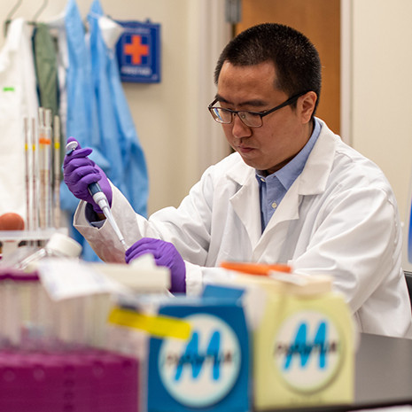 Professor Liu works in his lab