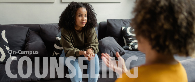 Student speaks with a counselor in the counselor's office.