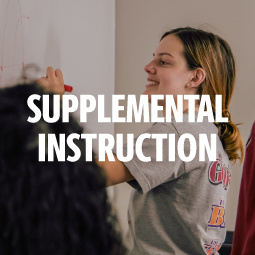 Supplemental Instruction Image