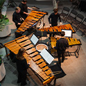 Marimba closeup photo